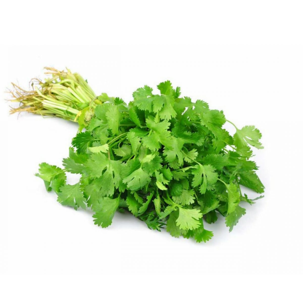 Кинза в Москве с доставкой. Купить по цене 140.00 руб.