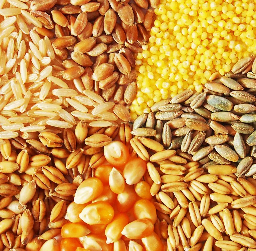 купить зерно для корма животных
